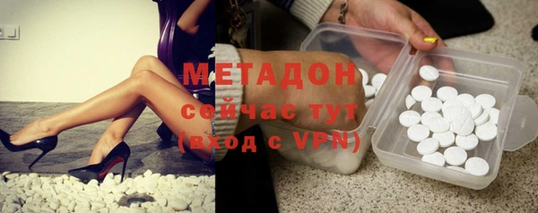 индика Арсеньев