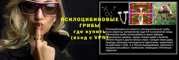 амф Алексин