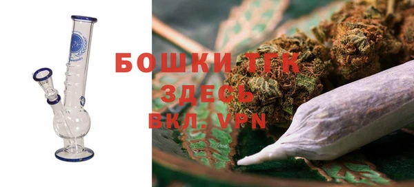 индика Арсеньев