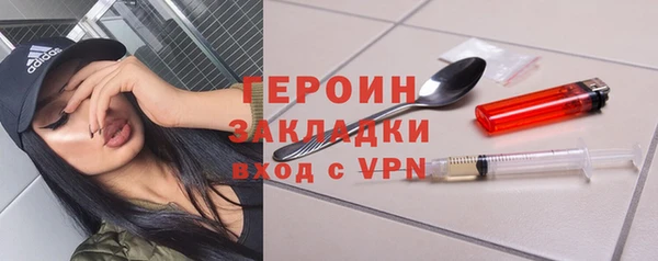 индика Арсеньев