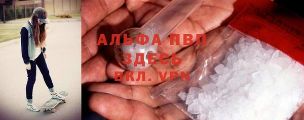 индика Арсеньев