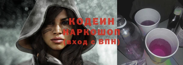 индика Арсеньев