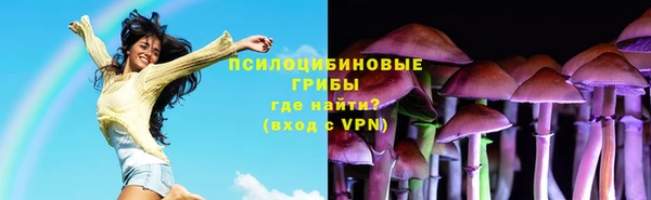 индика Арсеньев