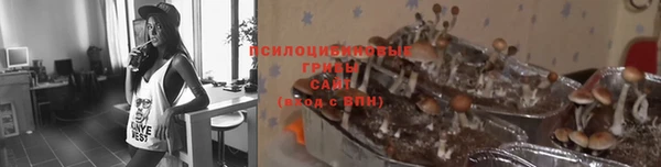 мдпв Армянск