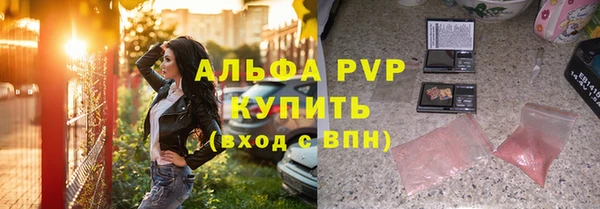 индика Арсеньев