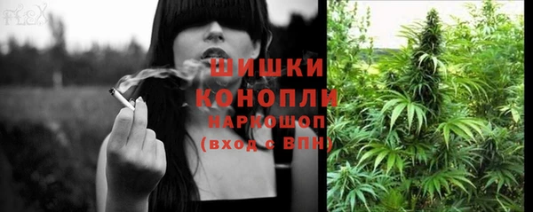 индика Арсеньев